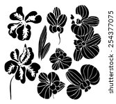 orchid flower. black silhouette ... | Shutterstock .eps vector #254377075