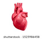 Red Human Heart Model   3d...