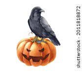 Black Raven Bird On Pumpkin....