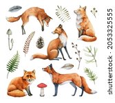 Fox Animal Watercolor...