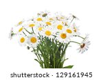 abstract flower background. ... | Shutterstock . vector #129161945