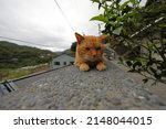 Houtong Cat Village  Along The...