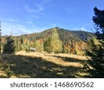 Small photo of Romania, Leaota Mountains, Cioara Peak Route, The yellowed forest