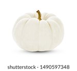 White Pumpkin Isolated On White ...