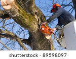 A Tree Surgeon Cuts And Trims A ...