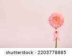 Small photo of Pink Breast Cancer Awareness Ribbon. Gerbera and pink ribbon on backgrounds. Breast cancer awareness and October Pink day, world cancer day. Top view. Mock up.