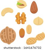 nuts illustration set  almond ... | Shutterstock .eps vector #1641676732