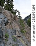 The rocky Mineral Creek Trail near Bear Creek Falls running along the 
steep mountainside edge