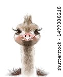 Ostrich Print  Baby Animal...