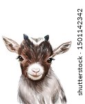 Goat Print  Baby Animal Prints  ...