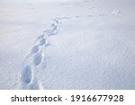 A plane flat field covered with deep snow and one person footprints in it
