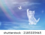 Angel cat walking on the rainbow bridge. Cat clouds shape. Cat catches a butterfly