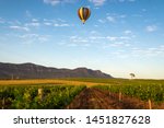 Hot Air Balloon drifting past a vineyard in the Hunter Valley