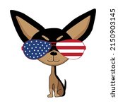 cute chihuahua dog in american... | Shutterstock .eps vector #2150903145