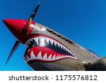 A vintage sharkmouth Warhawk Fighter with red nose and sharp white teeth looks fierce in a summer air show.