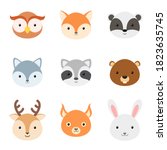 Raccoon Face Vector Clipart image - Free stock photo - Public Domain ...