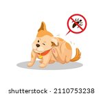 puppy itchy cause lice  pet... | Shutterstock .eps vector #2110753238