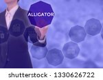 select alligator   technology... | Shutterstock . vector #1330626722