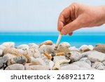 Cigarette Butts On The Beach