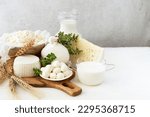 Fresh dairy products (milk,  feta, cottage cheese, Mozzarella,yogurt, Buratta, cottage cheese).Symbols of jewish holiday - Shavuot	