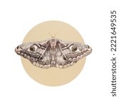Watercolor Grey Moth With Eyes...