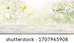 Spring Background With White...