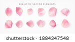 Realistic vector elements set of rose petals. Pink petals of rose flower isolated on white.