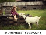 Little Girl Feeding A Goat...