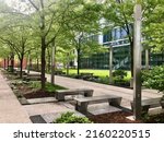 Picturesque courtyard in an office complex surrounded by green trees, grass and parkway benches.