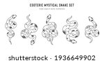 vector snake set of mystical... | Shutterstock .eps vector #1936649902