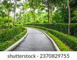 Landscape and garden, curved walkway winding through lush tropical garden