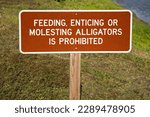 Small photo of Feeding, Enticing or Molesting Alligators is Prohibited