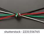 Small photo of Various colored ropes tied together to connote 'togetherness' or 'unity'. A concept to depict 'harmony' or 'unity' in the United Arab Emirates.