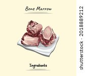 Bone Marrow Illustration Sketch ...