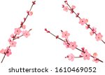 the branche of plum blossoms | Shutterstock .eps vector #1610469052