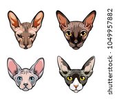 sphinx cats set. collection of... | Shutterstock .eps vector #1049957882
