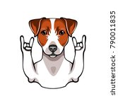 illustration of jack russell... | Shutterstock .eps vector #790011835