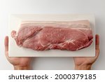pork hind leg on a white background