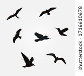 flying birds silhouette icon ... | Shutterstock .eps vector #1716610678