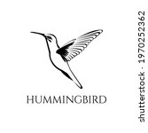 Black And White Hummingbird...