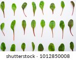 mangold salad leaves pattern ... | Shutterstock . vector #1012850008