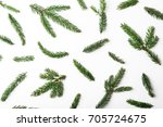 pine tree twigs pattern  top... | Shutterstock . vector #705724675