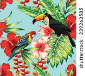 Tropic Bird Toucan And...