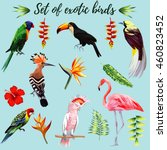 Realistic collection of beautiful exotic tropical birds vector macaw, parrot, pink flamingo, toucan, udot, hoopoe. On a blue background with leaves of palm banana, Strelitzia, hibiscus flower.
