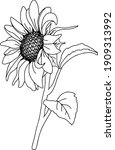 vector sunflower illustration ... | Shutterstock .eps vector #1909313992