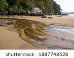 A creek flows over the brown sand at Sydney Cove, Ulva Island, Southland, New Zealand.