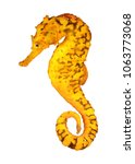 Yellow seahorse isolated on...