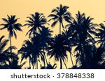 Silhouettes Of Palm Trees At...