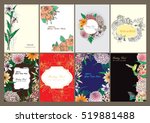 vector set butterflies and... | Shutterstock .eps vector #519881488