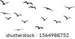 Vector Silhouette Of Flying...